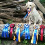 Emmy displaying her ribbons