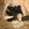 Only a couple hours old