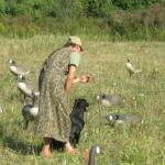 Lining for the blind