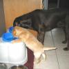Drinking with big bro