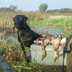 Coach with the bag from the 2007 Youth Waterfowl Hunt: 4 different species Mallard Pair, Green Wing Teal, Shoveler, and Wood Duck
