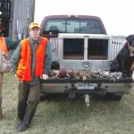 Another Day at the Office for Coach - Chukar and Pheasant