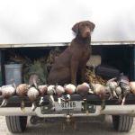 A great morning on the marsh