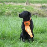 Grizz with his first Junior Hunter Ribbon